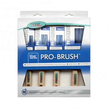 Pro Brush Paint Brush - Set of 4